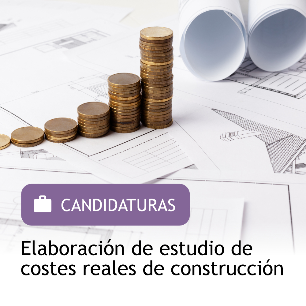 Proceso de selección 